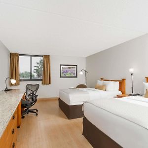 Double Room Two Double Beds